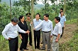 “Vàng trắng” vượt ngàn